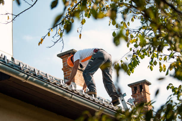 Best Local Roofing Companies  in Delavan Lake, WI