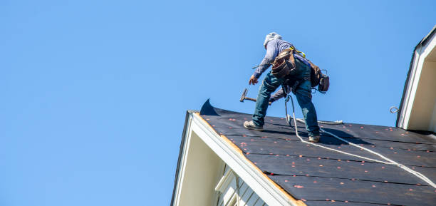 Sealant for Roof in Delavan Lake, WI